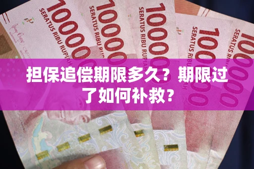 北京担保追偿期限多久？期限过了如何补救？