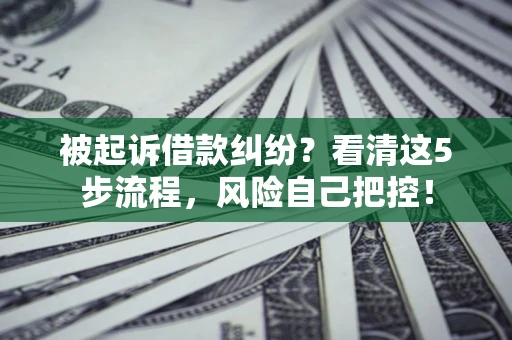 北京被起诉借款纠纷？看清这5步流程，风险自己把控！
